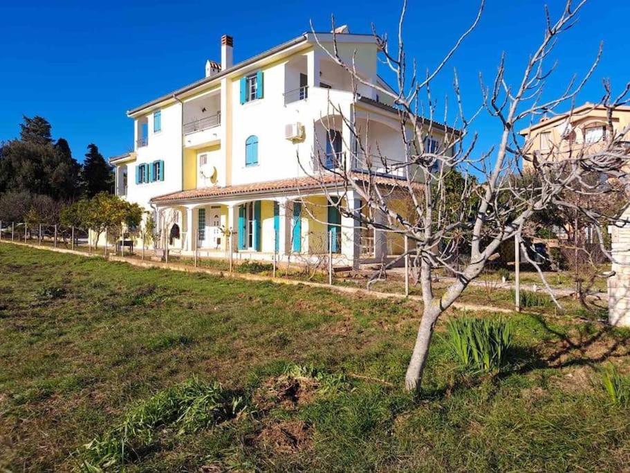 Apartment Laurus Premantura Exterior photo